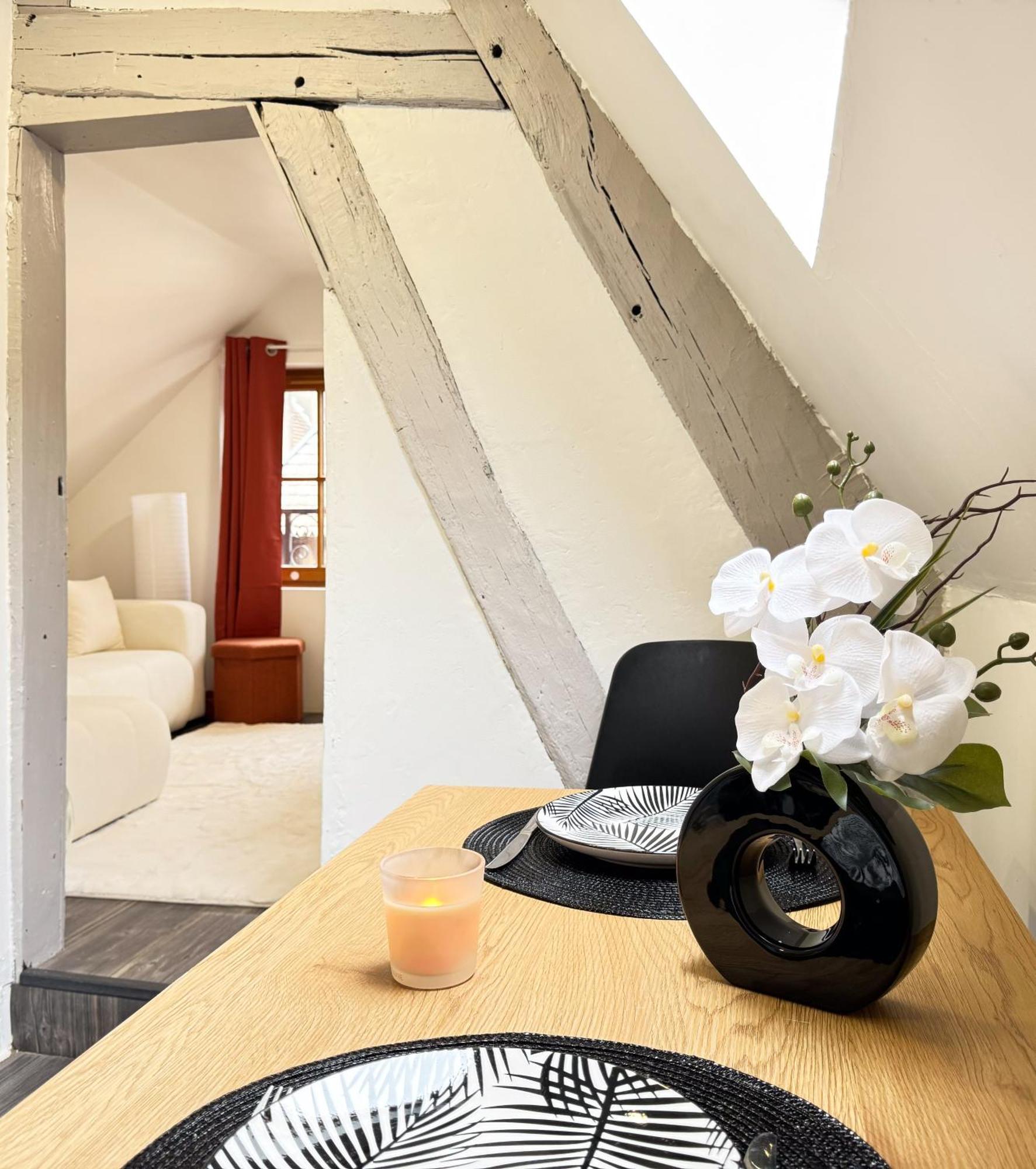 Apartamento La Douceur - Hypercentre Pieton De Troyes - Cozy Exterior foto
